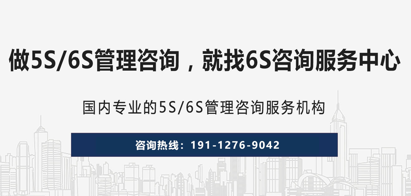 6S咨询